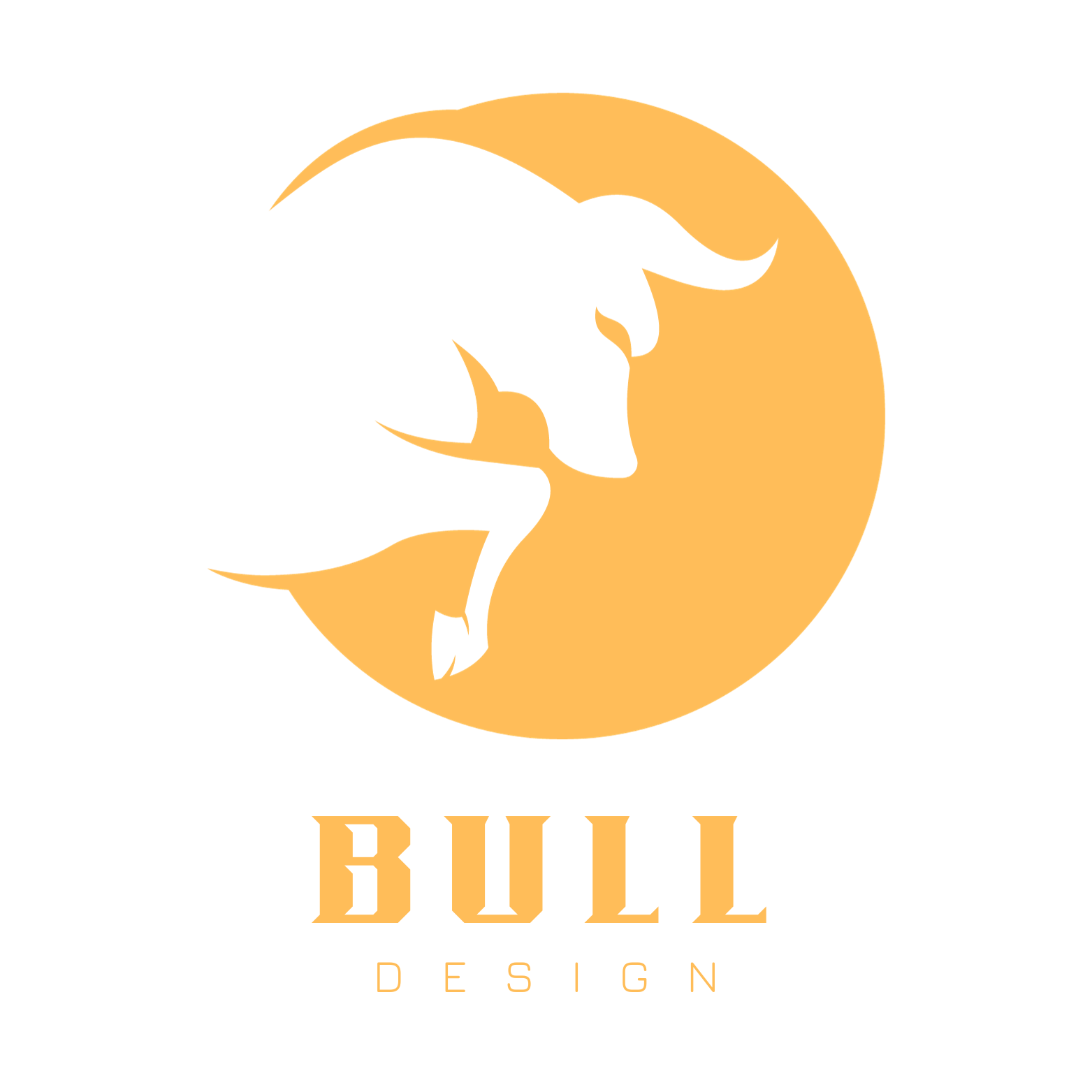 Bull Audio Visual